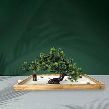 Amazon.com: jojomis Chinese Zen Garden Kit for Desk Home